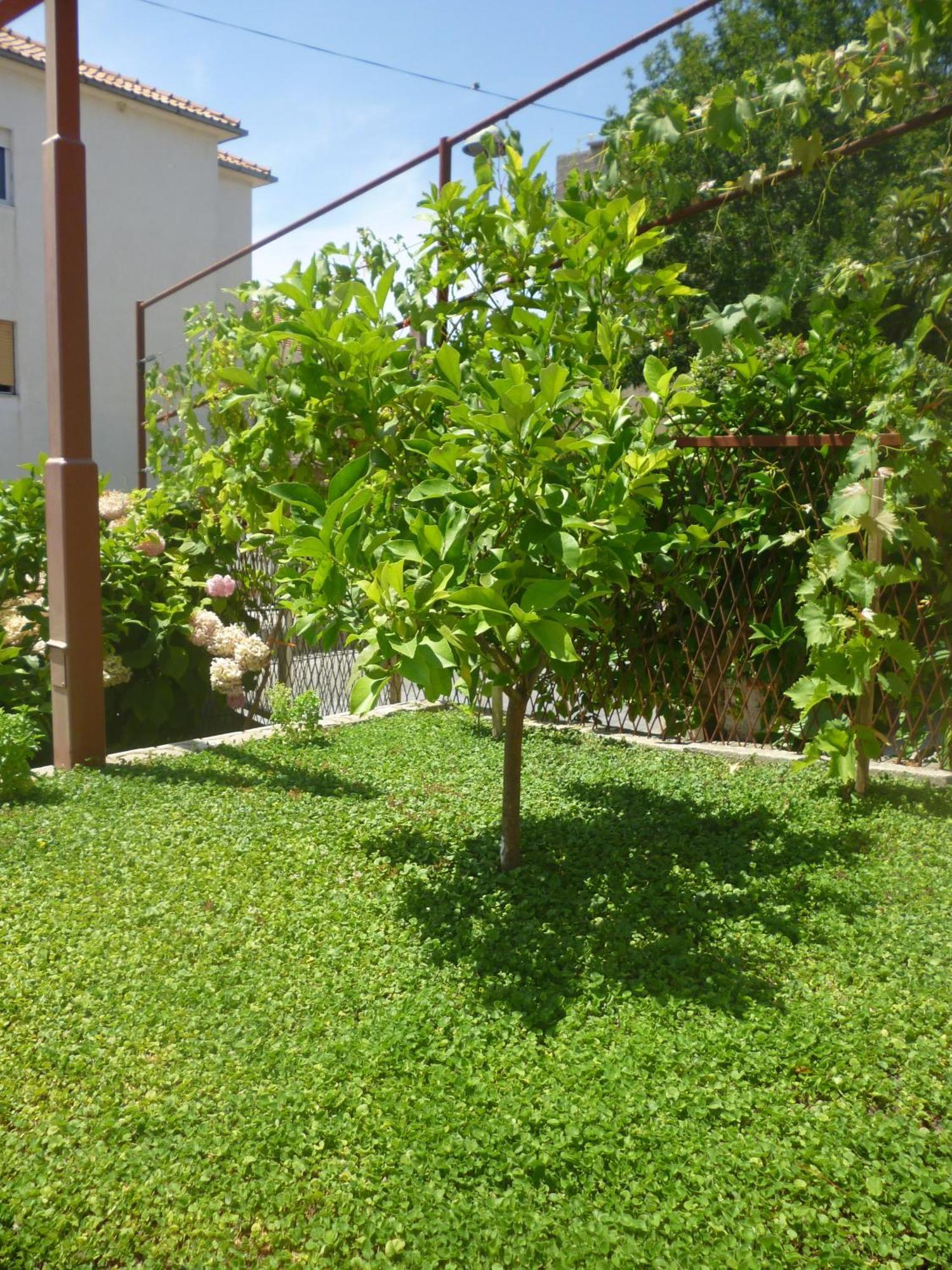 Villa Barbara 스토브레츠 외부 사진